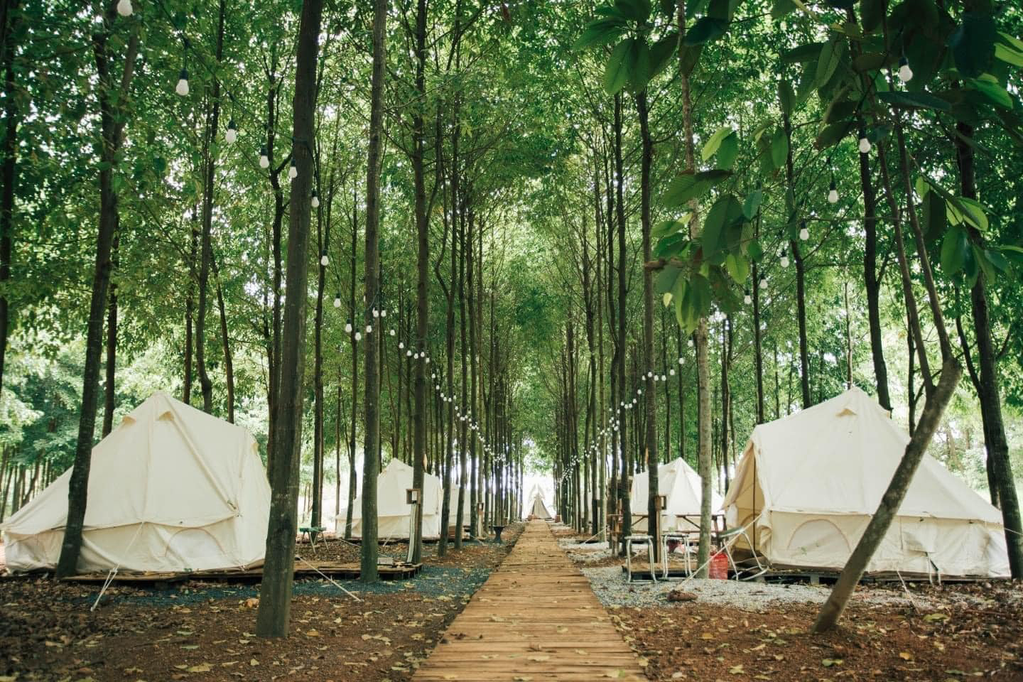 Sao Đen Camping tại Ba Vì, Hà Nội. Ảnh: Khu cắm trại