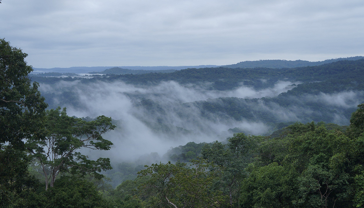 Khung cảnh từ điểm cao nhất của Vườn quốc gia Bù Gia Mập. Ảnh: Nguyễn Nam