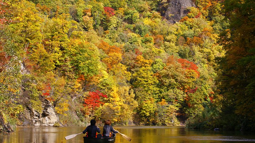 Ngồi thuyền ngắm cảnh thiên nhiên ở Sapporo. Ảnh: Welcome to Sapporo