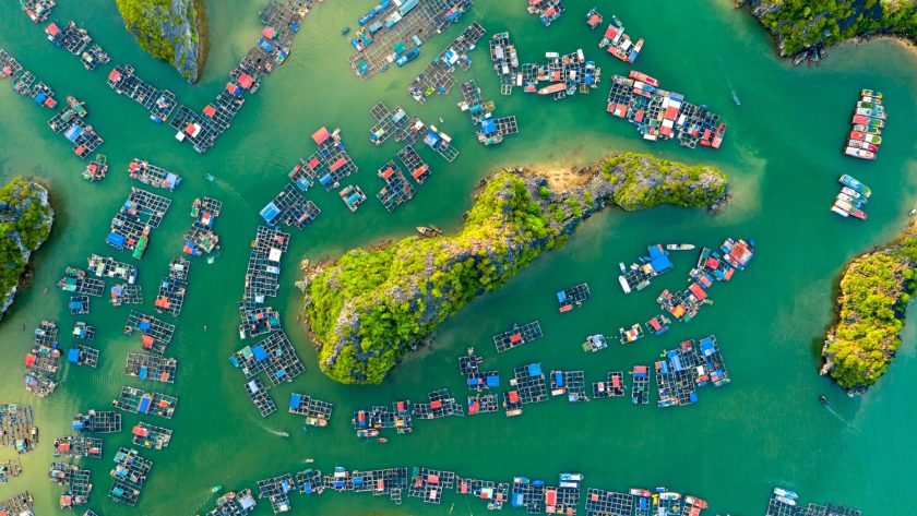 Làng chài Cát Bà. Ảnh: Phạm Huy Trung