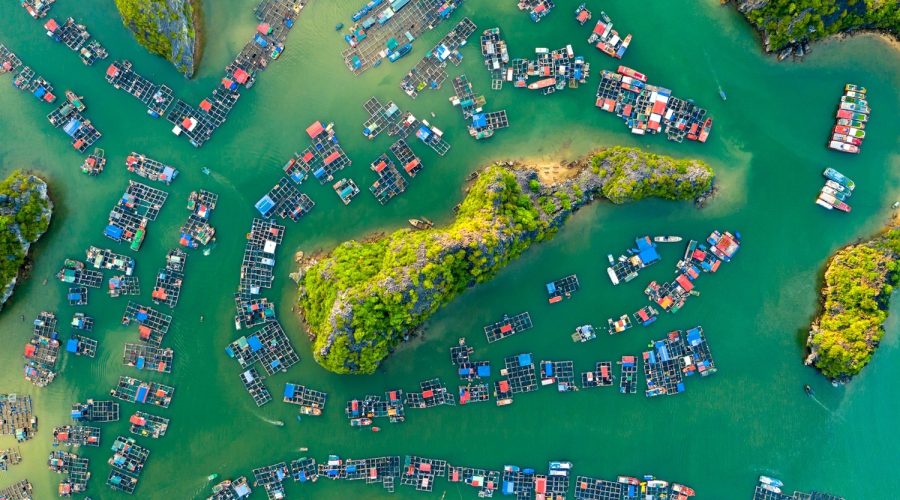 Làng chài Cát Bà. Ảnh: Phạm Huy Trung