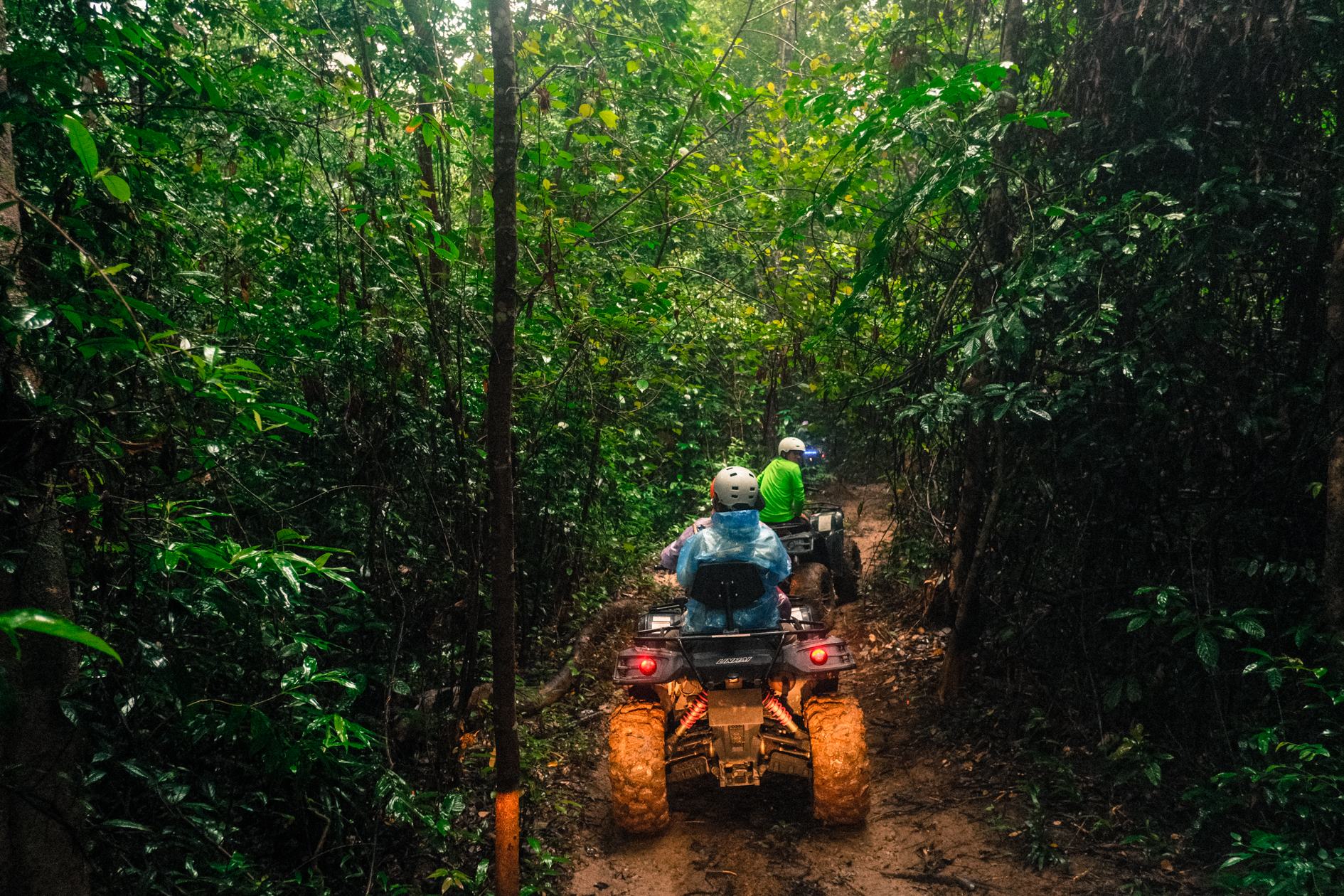 Bên trong khu vực rừng lim du khách sẽ đi qua khi tham gia tour ATV.