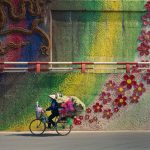 Người phụ nữ đạp xe chở hoa bán dạo đi qua con đường gốm sứ ở Hà Nội. Ảnh: Nguyễn Phúc Thành