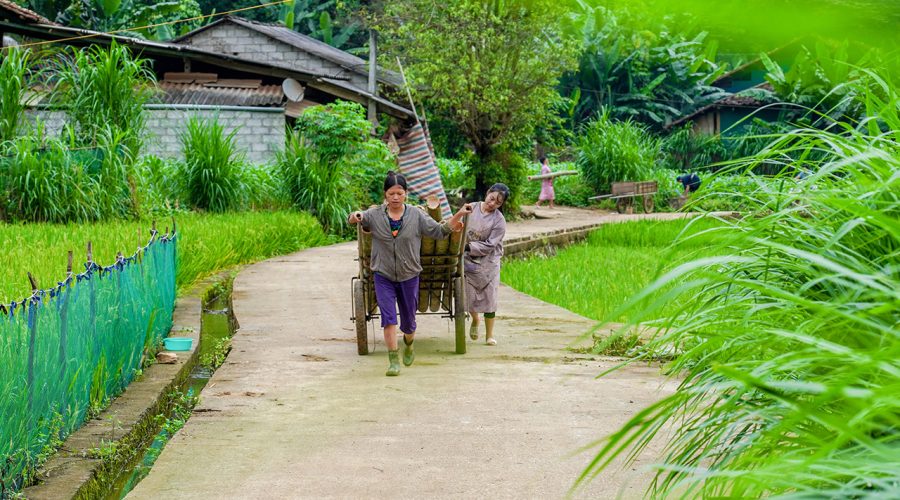 Một góc ở làng  Phia Thắp. Ảnh: Thanh Tính