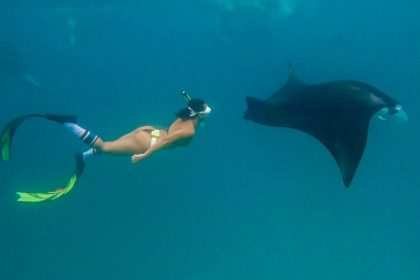 Chị Huyền lặn ống thở, bơi cùng cá đuối (Manta Ray) ở vịnh Hanifaru.