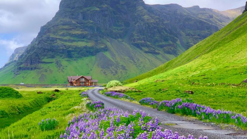 Khung cảnh Iceland vào tháng 6 với hoa nở và cỏ mọc xanh rì khắp chân núi Eyjafjöll. Ảnh: Kevin Phan