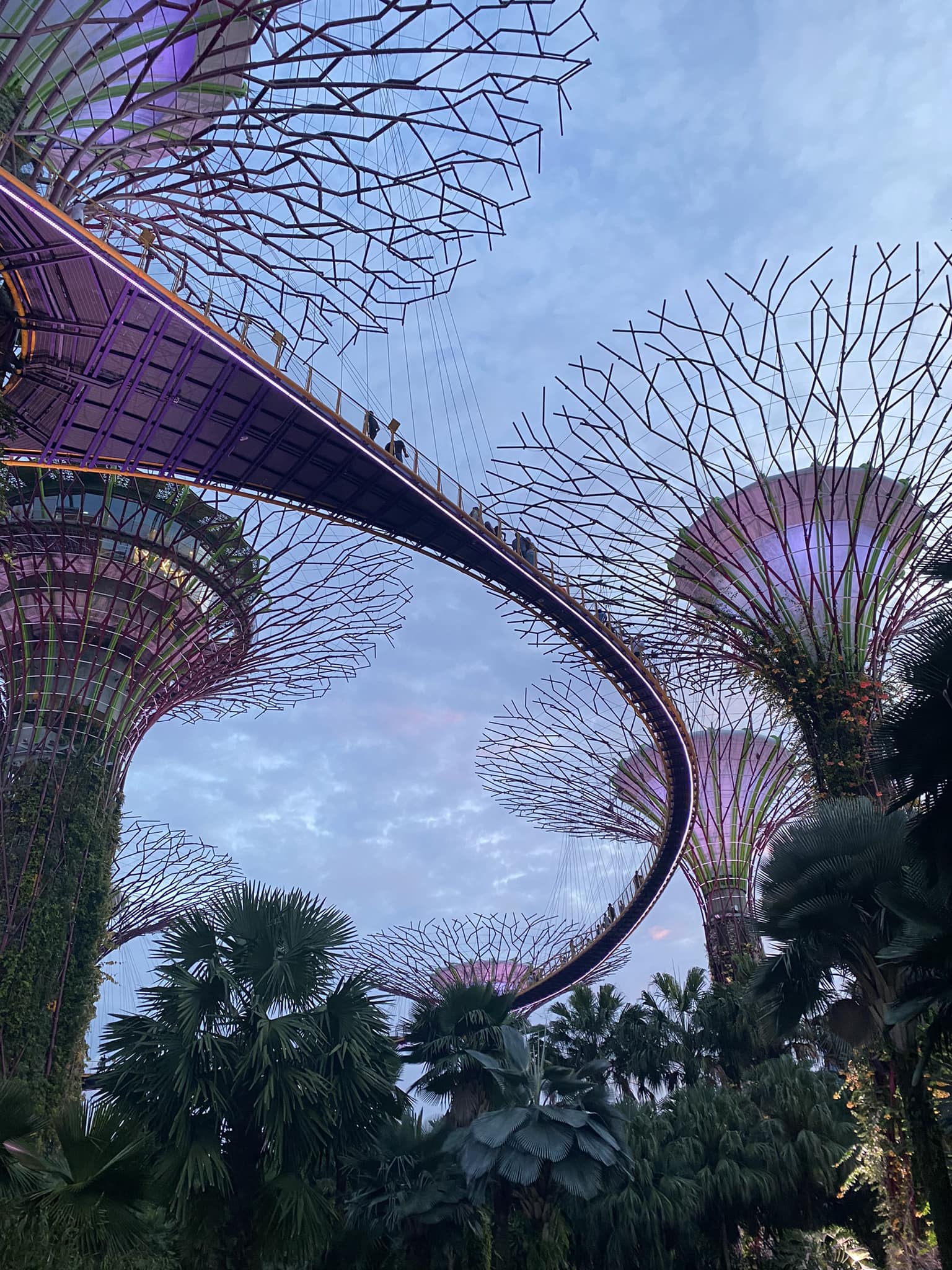 Gardens by the bay dưới ống kính nam du khách Việt.