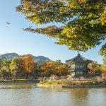 Cung điện Gyeongbokgung (Seoul, Hàn Quốc) vào mùa thu. Ảnh: INHYEOK PARK/Unsplash