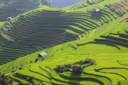 Ruộng bậc thang huyện Mù Cang Chải, tỉnh Yên Bái. Ảnh: Frans Sellies.