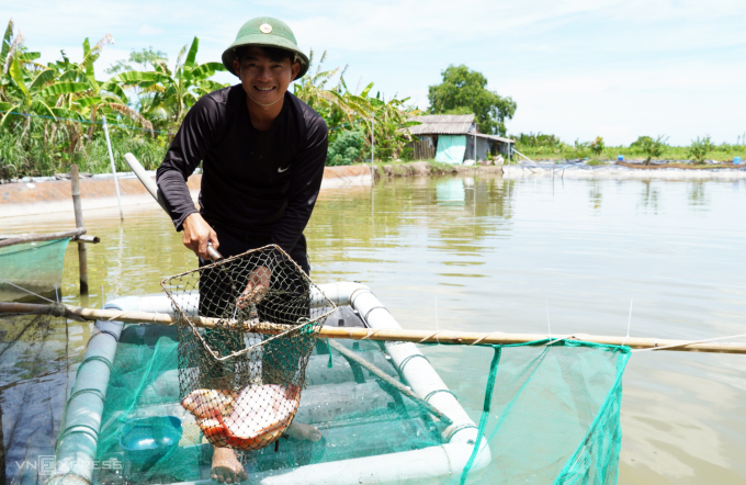 Anh Trần Văn Bì đang cải tạo lại ao cá để mở rộng homestay. Ảnh: Chúc Ly