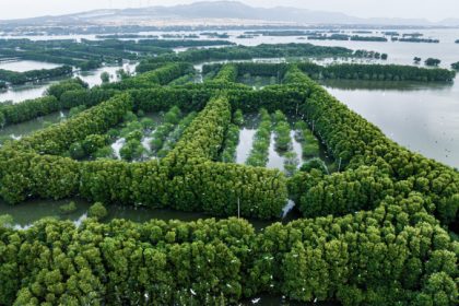 Đầm Thị Nại có hệ sinh thái vô cùng phong phú và hấp dẫn.