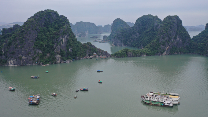 Vịnh Hạ Long