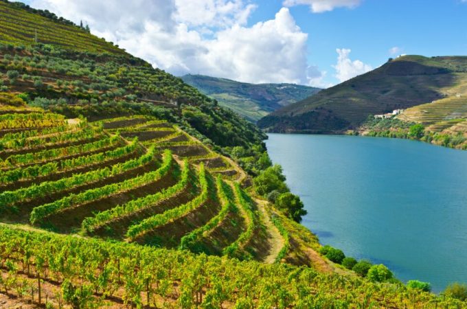 Thung lũng Douro, nơi Rebecca đã bỏ lỡ khi đến Bồ Đào Nha. Ảnh: Portugal Magik