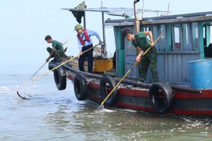 Mỗi ngày sẽ có khoảng 150 người cùng 50 phương tiện thủy tham gia vận chuyển, thu gom rác để làm sạch vịnh Hạ Long. Ảnh: HL