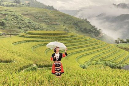 Du khách chụp ảnh ở đồi Mâm Xôi, đầu tháng 10. Ảnh: Mùa A Giàng